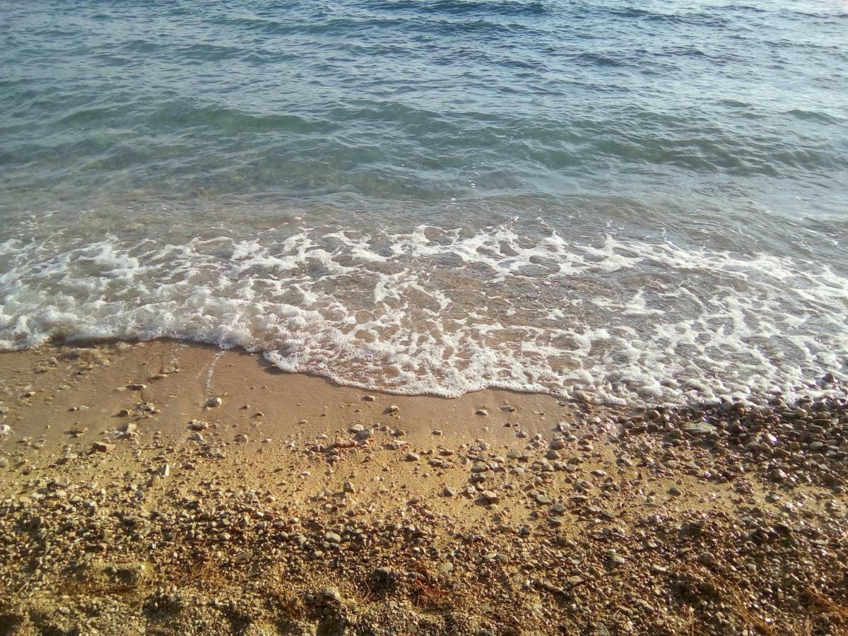 Seaview Apartments Nikola لوكفا روجوزنيكا المظهر الخارجي الصورة