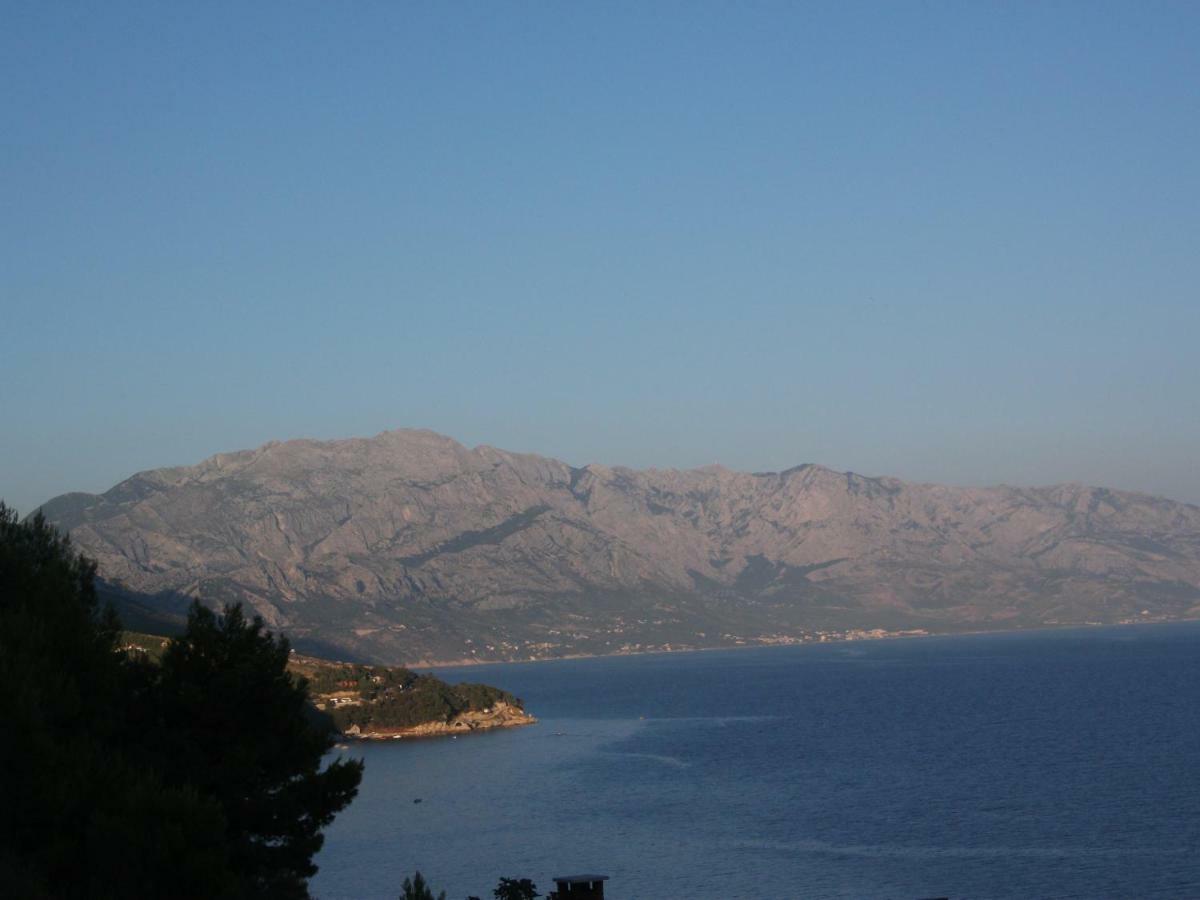 Seaview Apartments Nikola لوكفا روجوزنيكا المظهر الخارجي الصورة